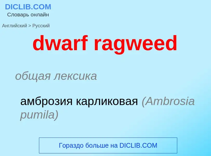 Vertaling van &#39dwarf ragweed&#39 naar Russisch