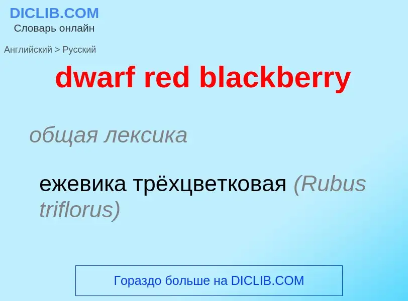 Vertaling van &#39dwarf red blackberry&#39 naar Russisch