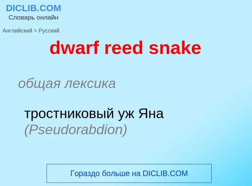 Vertaling van &#39dwarf reed snake&#39 naar Russisch