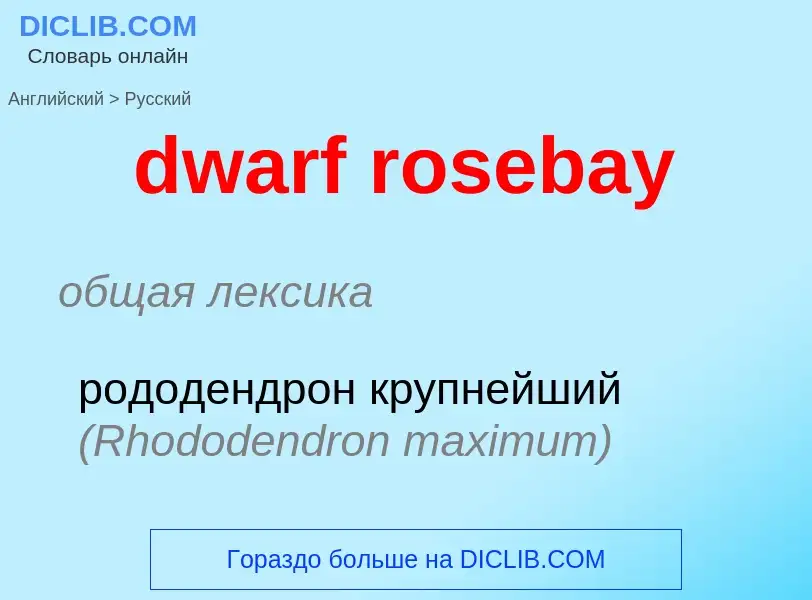 Vertaling van &#39dwarf rosebay&#39 naar Russisch