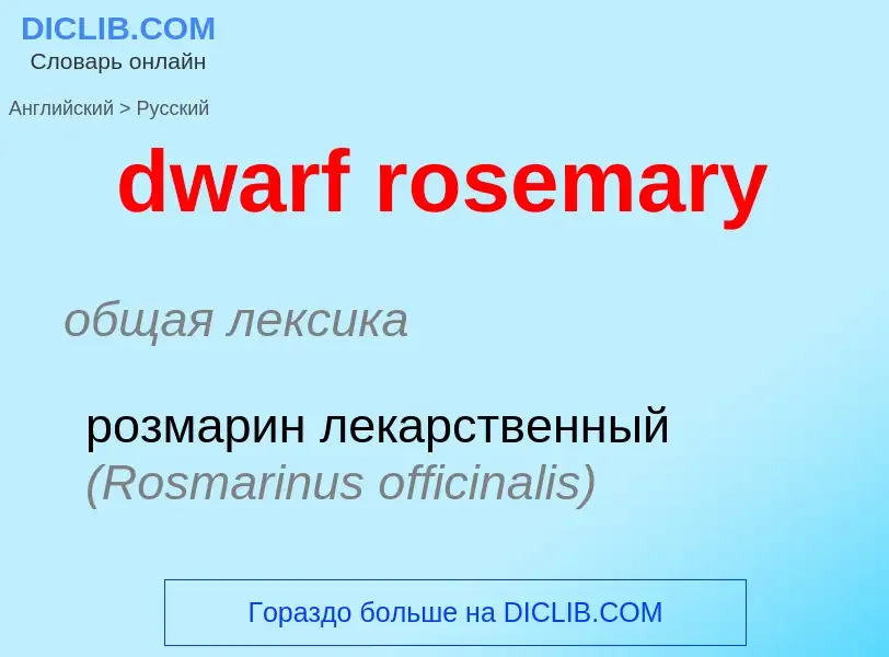 Vertaling van &#39dwarf rosemary&#39 naar Russisch