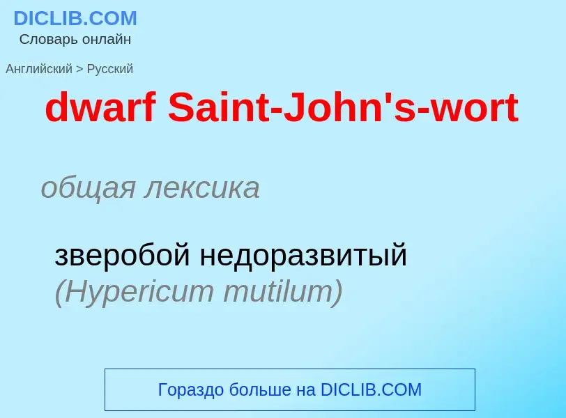 Vertaling van &#39dwarf Saint-John's-wort&#39 naar Russisch