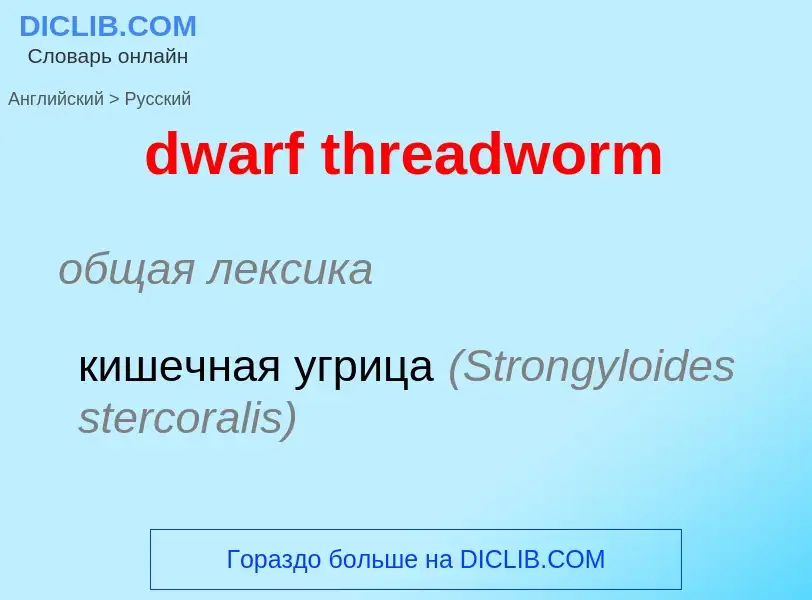 Vertaling van &#39dwarf threadworm&#39 naar Russisch