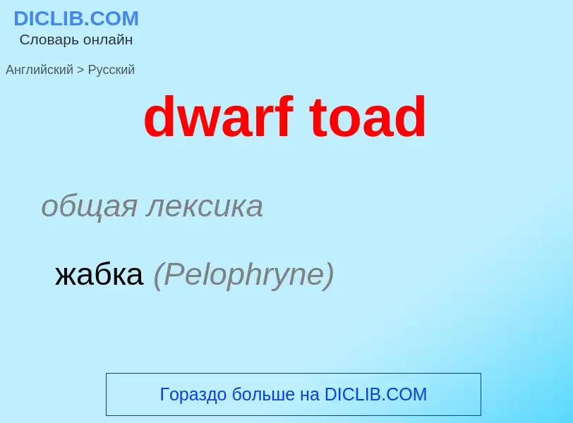 Vertaling van &#39dwarf toad&#39 naar Russisch