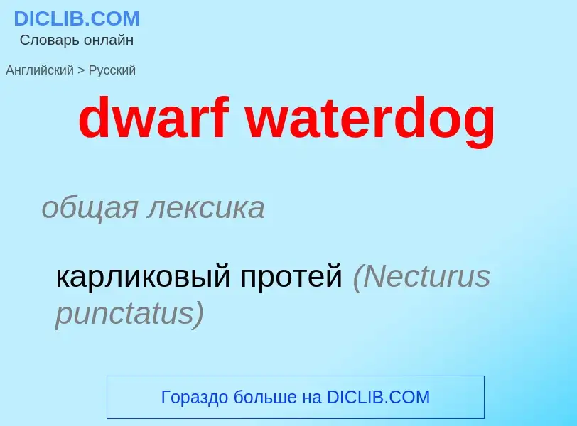 Vertaling van &#39dwarf waterdog&#39 naar Russisch