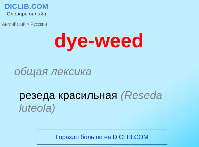 Vertaling van &#39dye-weed&#39 naar Russisch