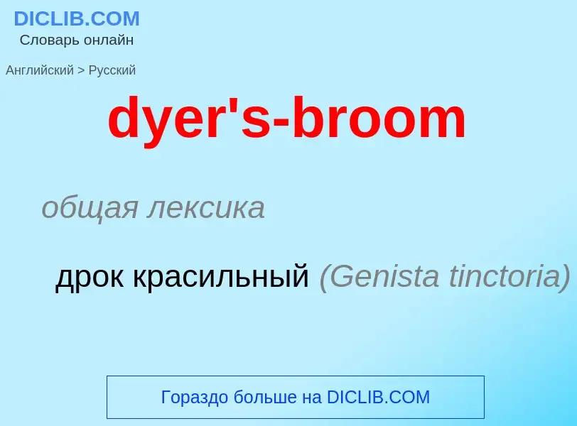 Vertaling van &#39dyer's-broom&#39 naar Russisch