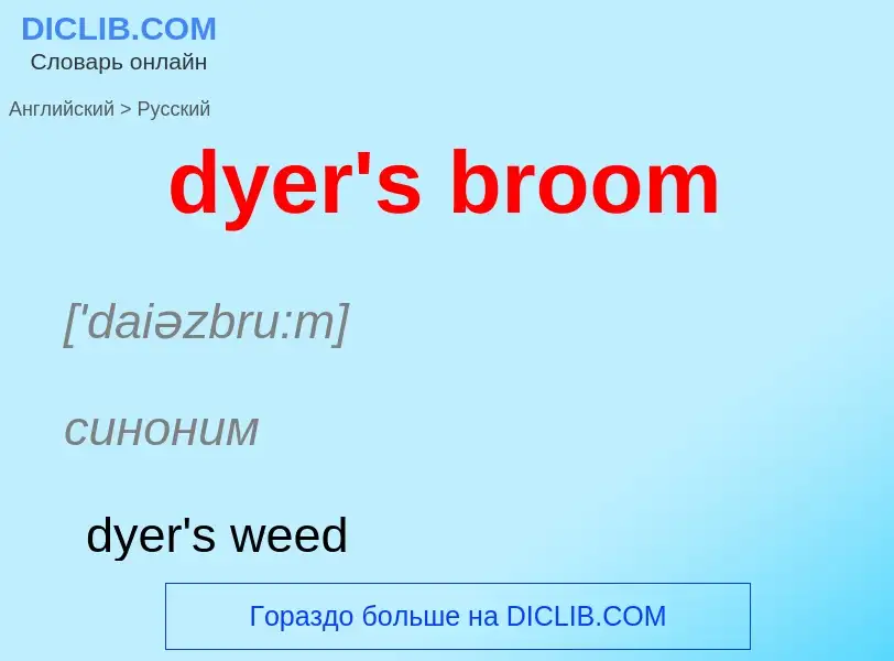 Vertaling van &#39dyer's broom&#39 naar Russisch