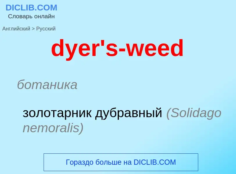 Vertaling van &#39dyer's-weed&#39 naar Russisch