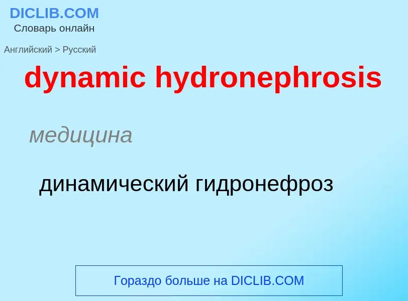 Vertaling van &#39dynamic hydronephrosis&#39 naar Russisch