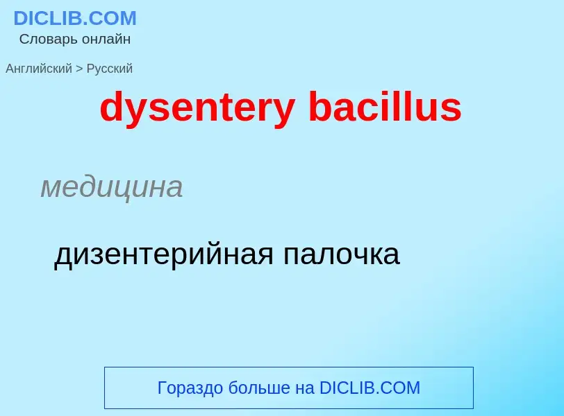 Vertaling van &#39dysentery bacillus&#39 naar Russisch