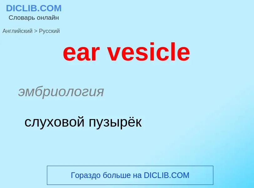 ¿Cómo se dice ear vesicle en Ruso? Traducción de &#39ear vesicle&#39 al Ruso