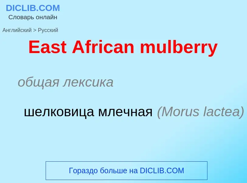 Übersetzung von &#39East African mulberry&#39 in Russisch