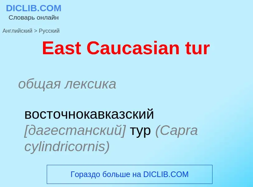 Μετάφραση του &#39East Caucasian tur&#39 σε Ρωσικά