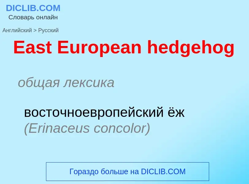 What is the الروسية for East European hedgehog? Translation of &#39East European hedgehog&#39 to الر