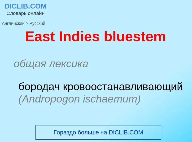 Μετάφραση του &#39East Indies bluestem&#39 σε Ρωσικά