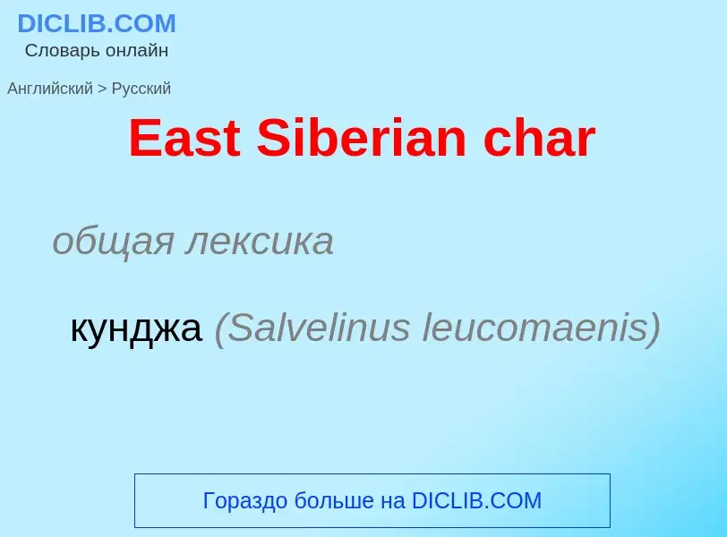 ¿Cómo se dice East Siberian char en Ruso? Traducción de &#39East Siberian char&#39 al Ruso