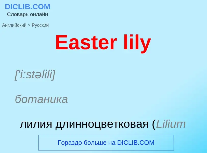 Μετάφραση του &#39Easter lily&#39 σε Ρωσικά