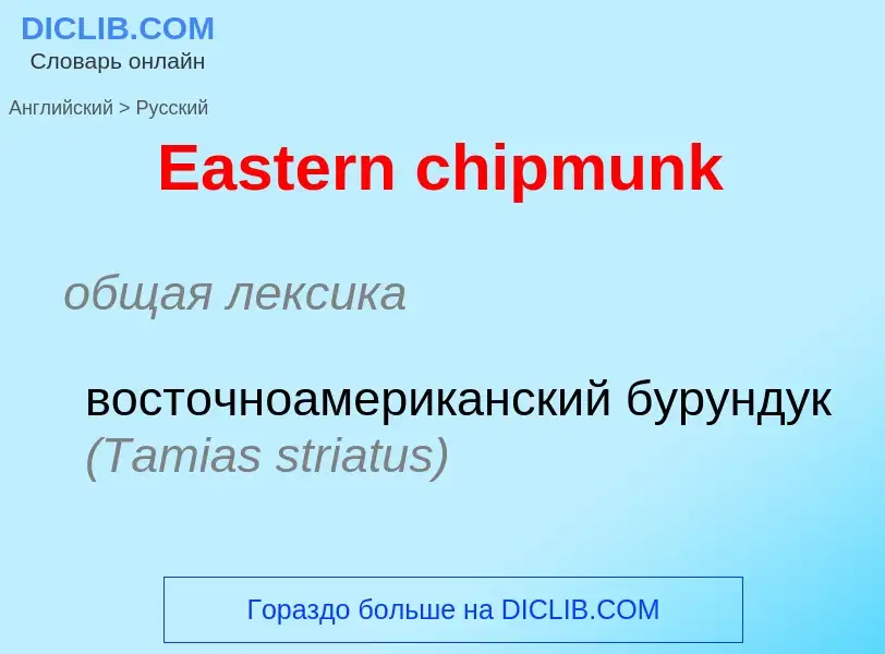 Μετάφραση του &#39Eastern chipmunk&#39 σε Ρωσικά