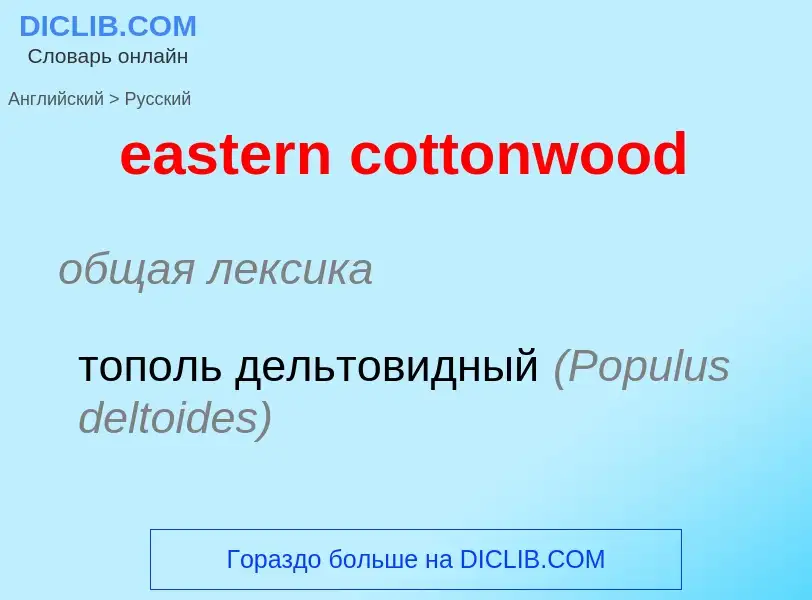 Как переводится eastern cottonwood на Русский язык