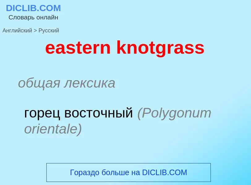 Μετάφραση του &#39eastern knotgrass&#39 σε Ρωσικά