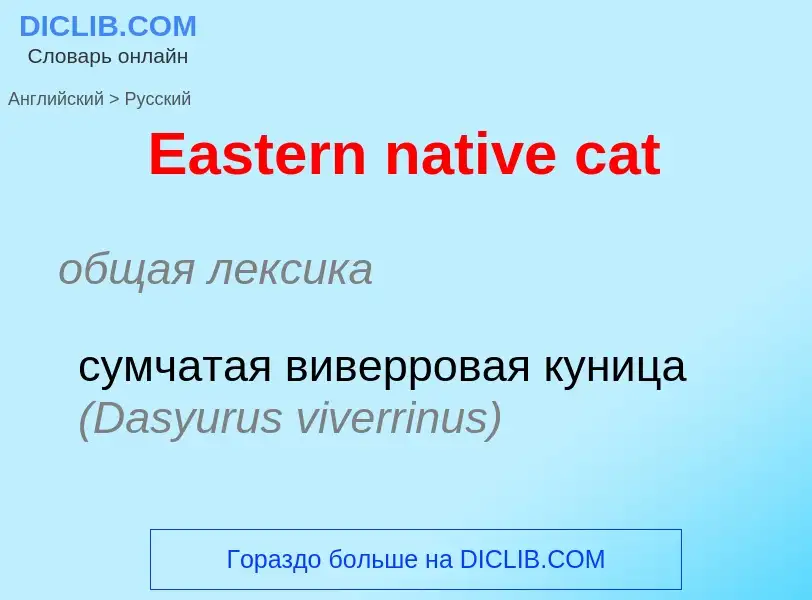 Μετάφραση του &#39Eastern native cat&#39 σε Ρωσικά