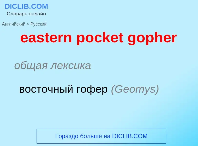 Как переводится eastern pocket gopher на Русский язык