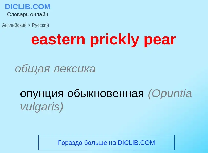 Как переводится eastern prickly pear на Русский язык