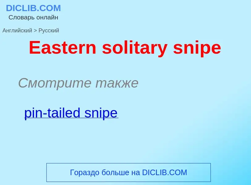 What is the الروسية for Eastern solitary snipe? Translation of &#39Eastern solitary snipe&#39 to الر