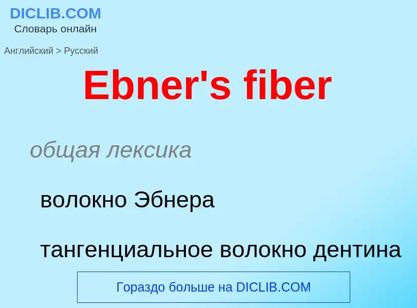 Vertaling van &#39Ebner's fiber&#39 naar Russisch