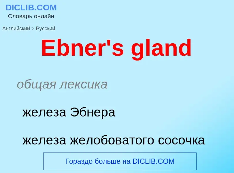 ¿Cómo se dice Ebner's gland en Ruso? Traducción de &#39Ebner's gland&#39 al Ruso