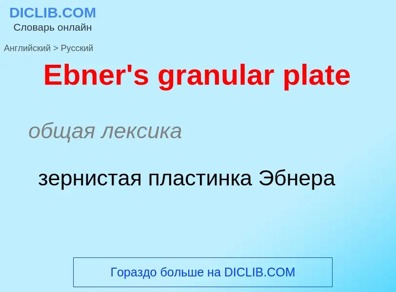 ¿Cómo se dice Ebner's granular plate en Ruso? Traducción de &#39Ebner's granular plate&#39 al Ruso