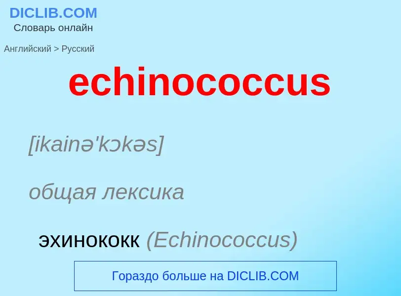 Μετάφραση του &#39echinococcus&#39 σε Ρωσικά