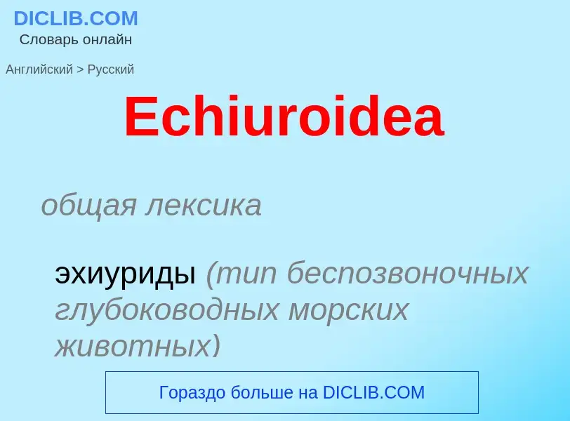 Μετάφραση του &#39Echiuroidea&#39 σε Ρωσικά