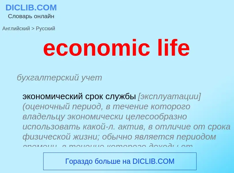 Как переводится economic life на Русский язык