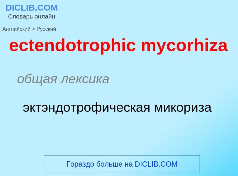 Como se diz ectendotrophic mycorhiza em Russo? Tradução de &#39ectendotrophic mycorhiza&#39 em Russo