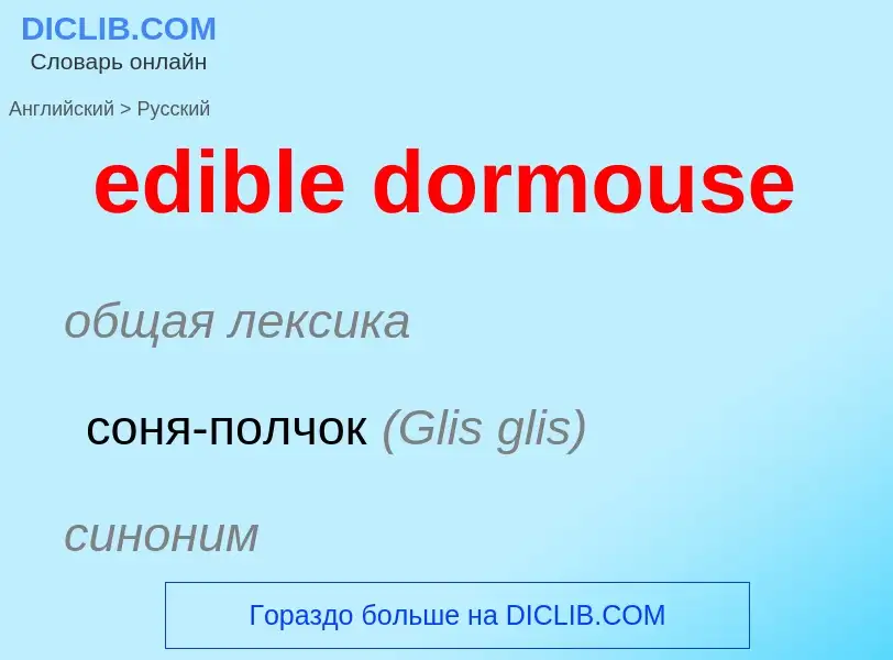 Μετάφραση του &#39edible dormouse&#39 σε Ρωσικά