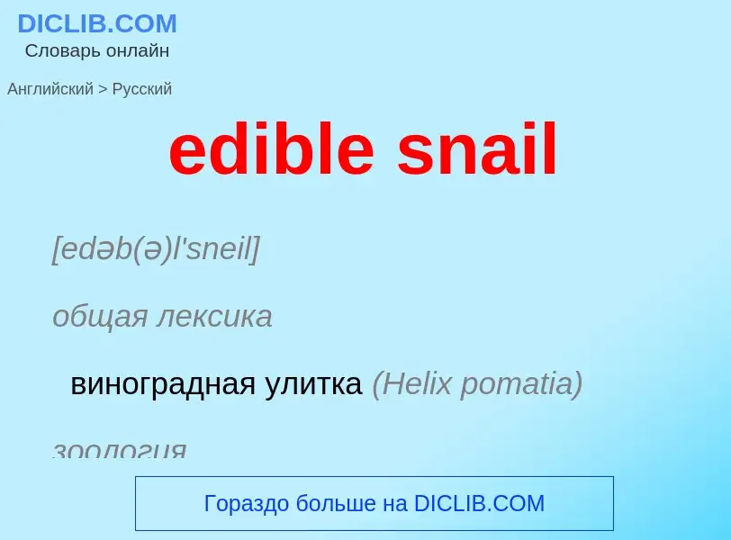 Как переводится edible snail на Русский язык