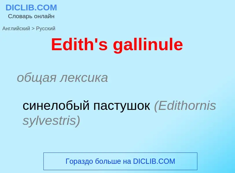 ¿Cómo se dice Edith's gallinule en Ruso? Traducción de &#39Edith's gallinule&#39 al Ruso