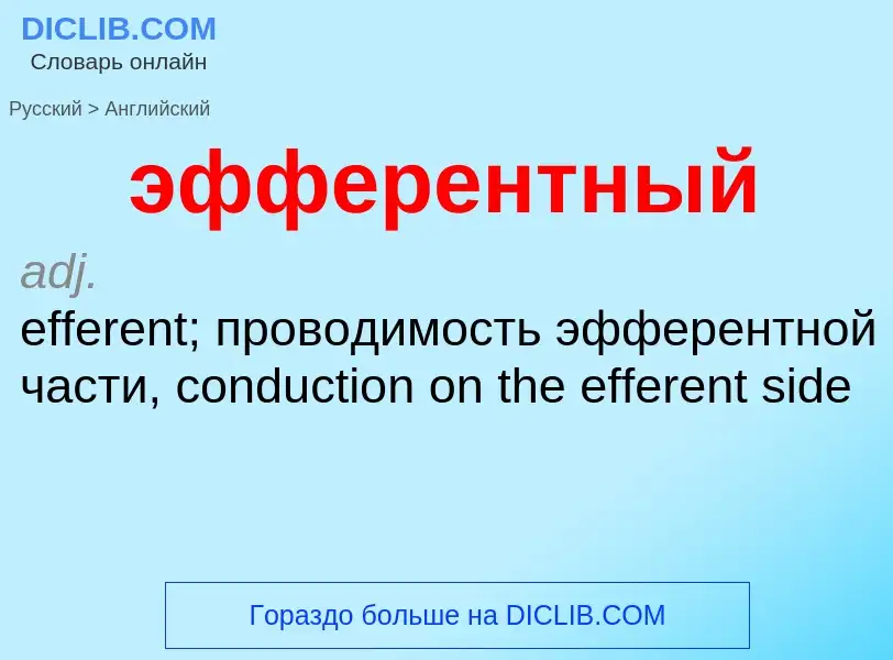 Как переводится эфферентный на Английский язык