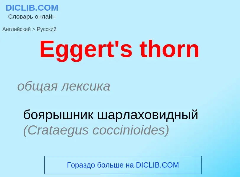 ¿Cómo se dice Eggert's thorn en Ruso? Traducción de &#39Eggert's thorn&#39 al Ruso