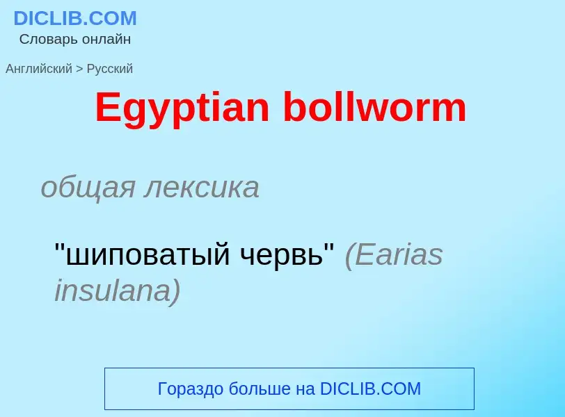 ¿Cómo se dice Egyptian bollworm en Ruso? Traducción de &#39Egyptian bollworm&#39 al Ruso