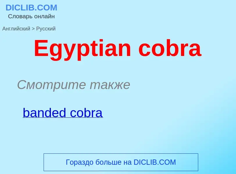 ¿Cómo se dice Egyptian cobra en Ruso? Traducción de &#39Egyptian cobra&#39 al Ruso