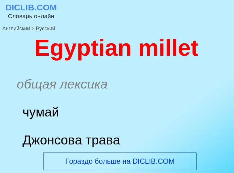 Übersetzung von &#39Egyptian millet&#39 in Russisch