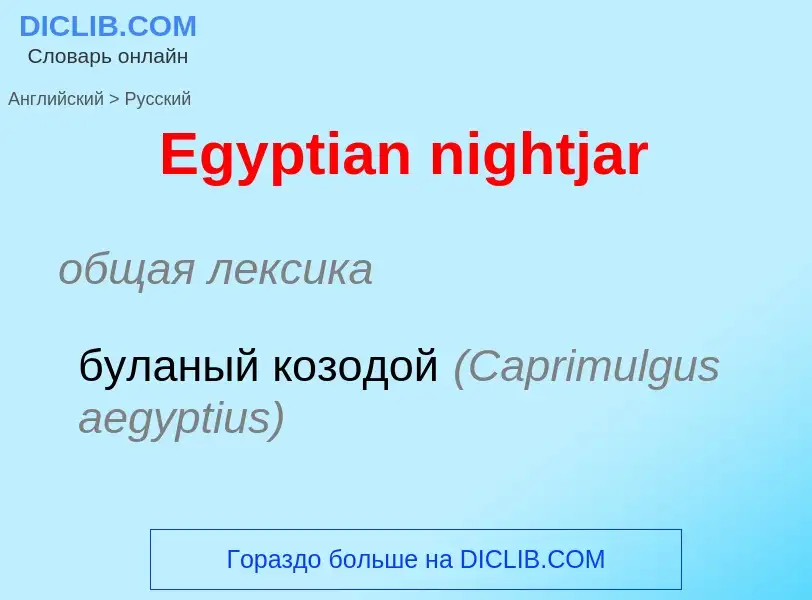 ¿Cómo se dice Egyptian nightjar en Ruso? Traducción de &#39Egyptian nightjar&#39 al Ruso