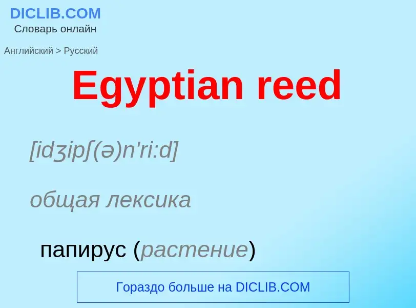 ¿Cómo se dice Egyptian reed en Ruso? Traducción de &#39Egyptian reed&#39 al Ruso