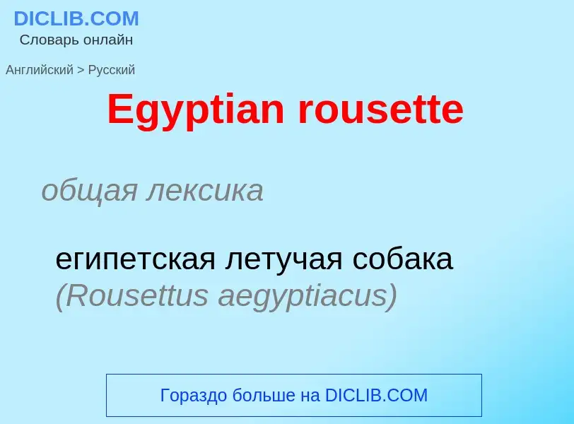 Как переводится Egyptian rousette на Русский язык