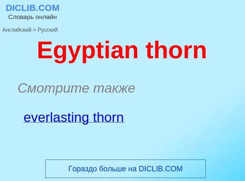 ¿Cómo se dice Egyptian thorn en Ruso? Traducción de &#39Egyptian thorn&#39 al Ruso