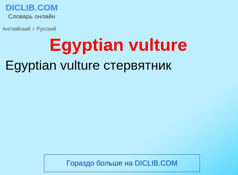 Übersetzung von &#39Egyptian vulture&#39 in Russisch