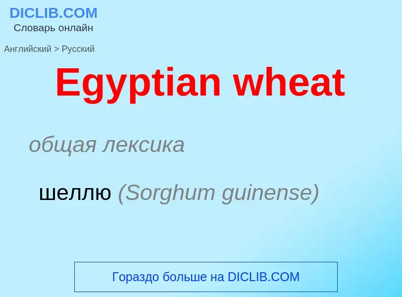 ¿Cómo se dice Egyptian wheat en Ruso? Traducción de &#39Egyptian wheat&#39 al Ruso